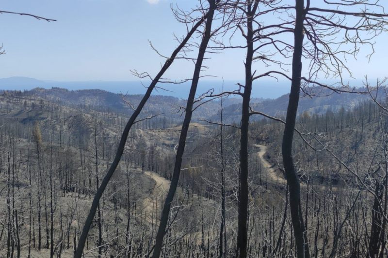 publications fotia eyboia 2021 1 1024x683