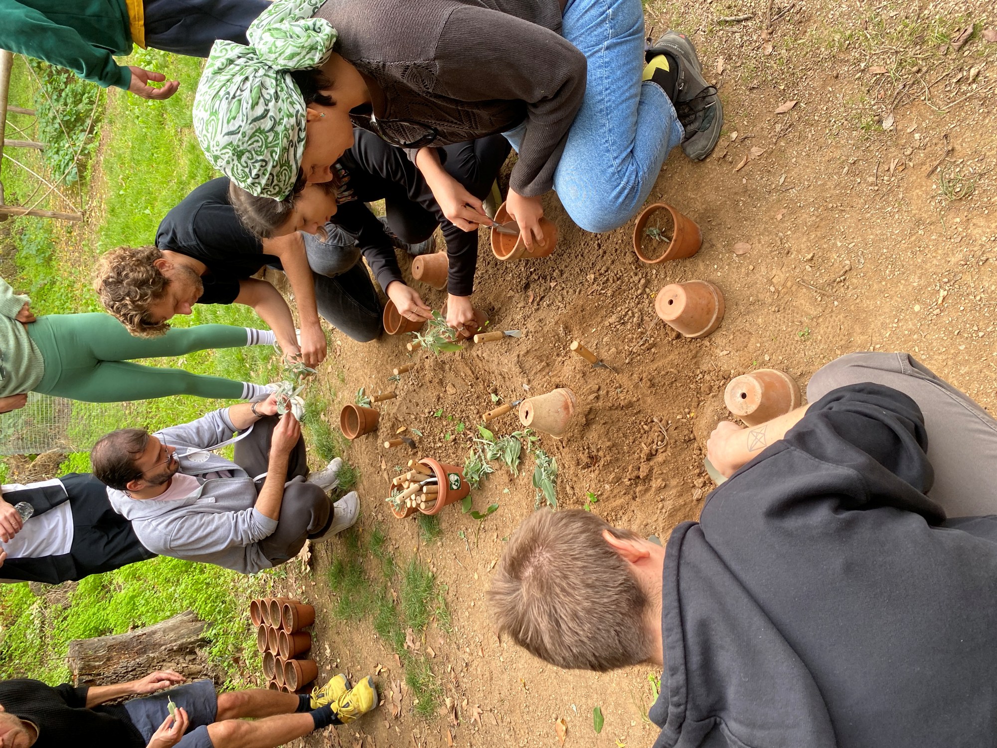 Επίσκεψη του Green Kypseli στο Αισθητικό Δάσος